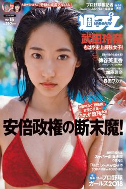 假结婚 迅雷下载